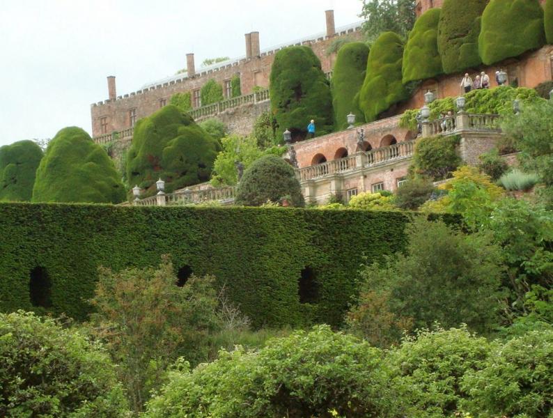 powis20170008