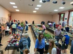 IMG-20240919-WA0003