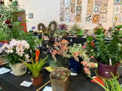 IMG-20240919-WA0009
